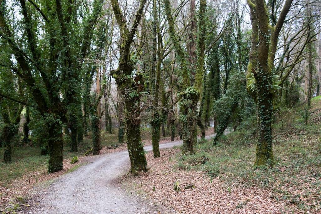 A Casa Da Moreira - Casa Rural En Ponte Maceira آكورونيا المظهر الخارجي الصورة